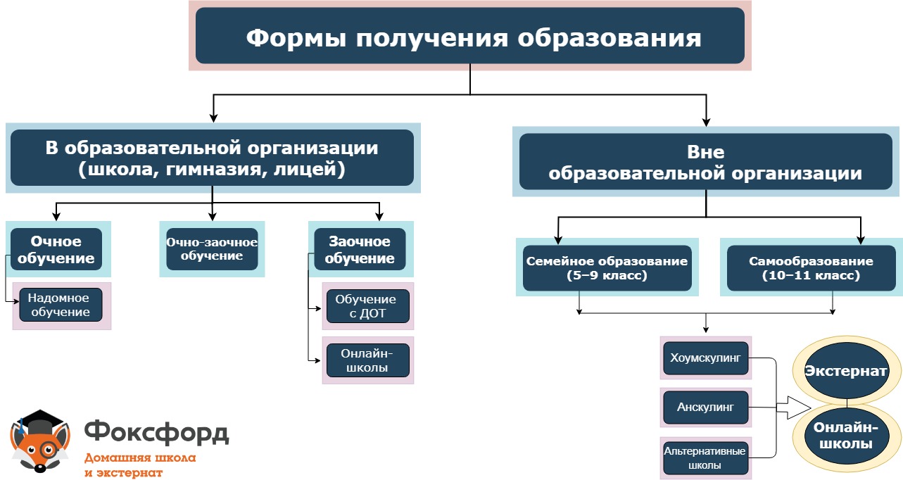 Гид по формам обучения в России: какие бывают виды образования в школе ...